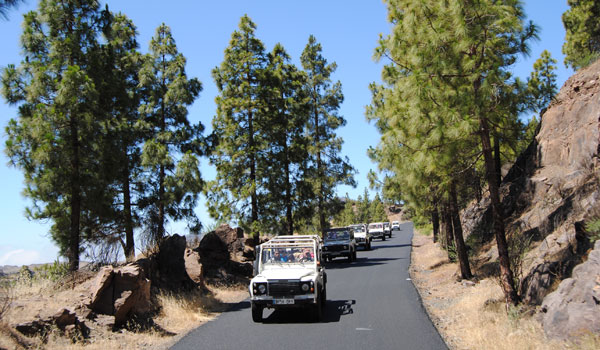 4X4 CANARIA COM 4x4 canaria com: